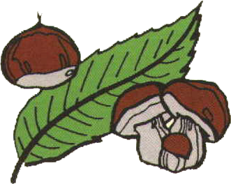 Confrérie du Châtaigner de la Châtaigne et du Champignon de Villefranche du Périgord   02