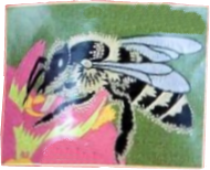 Confrérie du Miel et des Abeilles en Périgord - 28/11/2026 Confrérie du Miel et des Abeilles en Périgord